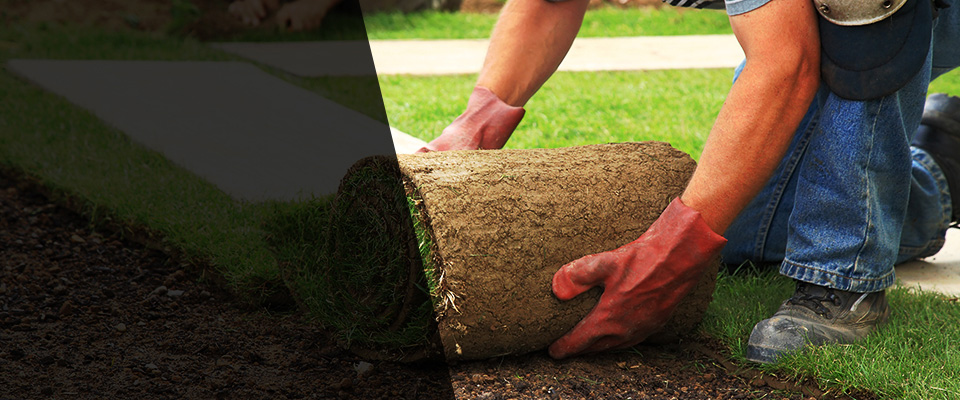 Saint Clairsville Landscapers